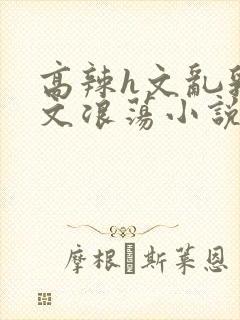 高辣h文乱乳h文浪荡小说苏卿封面