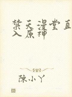 禁天漫堂直接进入原神