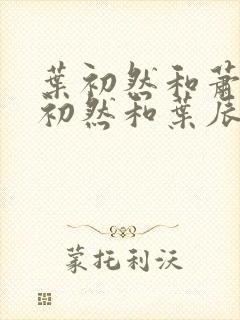 叶初然和萧辰萧初然和叶辰的小说