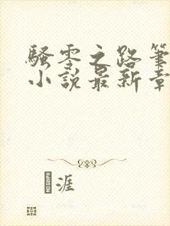 骚零之路笔趣阁小说最新章节更新封面