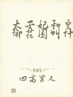 太子妃和皇帝在御花园叫什么小说