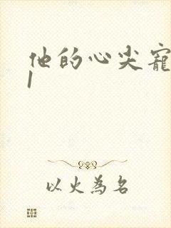他的心尖宠1v1封面