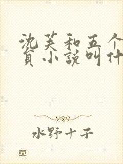 沈芙和五个消防员小说叫什么