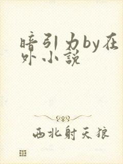 暗引力by在言外小说