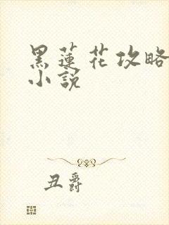 黑莲花攻略手册小说