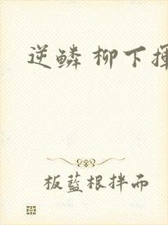 逆鳞 柳下挥封面