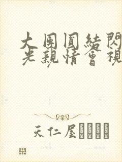 大团圆结闪闪发光亲情会视频