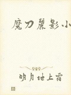 魔刀丽影小说