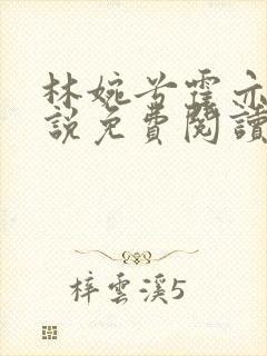 林婉兮霍亦铭小说免费阅读