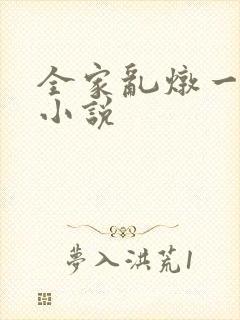 全家乱炖一锅烩小说封面