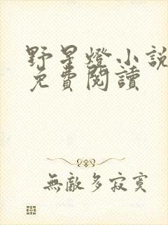 野星灯小说全文免费阅读