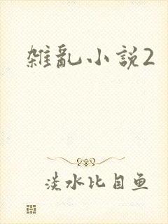 杂乱小说2