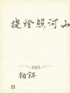 提灯照河山封面