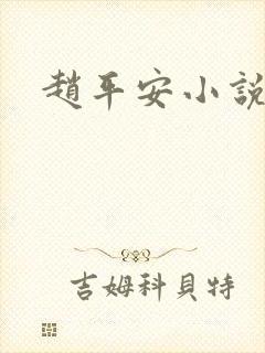 赵平安小说主角封面