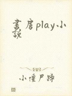 书房play小说