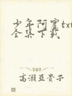 少年阿宾txt全集下载