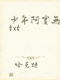 少年阿宾无删减txt