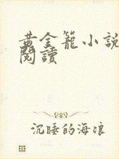 黄金笼小说免费阅读