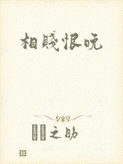 相贱恨晚封面