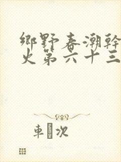 乡野春潮干柴烈火第六十三章