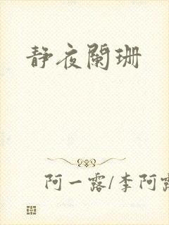 静夜阑珊