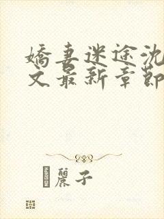 娇妻迷途沈丹全文最新章节阅读