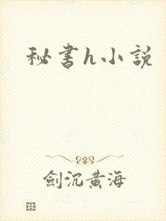 秘书h小说