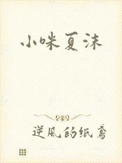 小咪夏沫封面