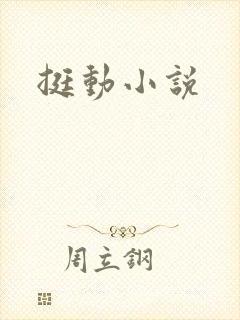 挺动小说封面