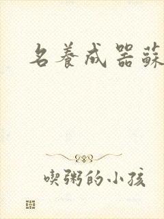 名养成器苏沫沫