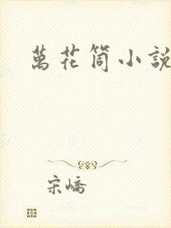 万花筒小说封面