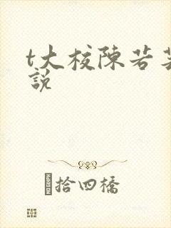 t大校陈若芸小说