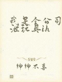 我是全公司的发泄玩具ih