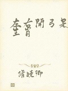 左右开弓是什么生肖