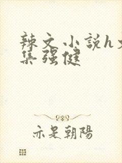 辣文小说h文合集强健