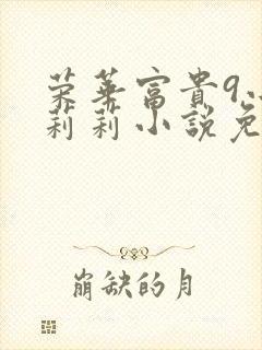 荣华富贵9小王莉莉小说免费阅读