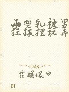 两双乳被男人疯狂揉捏玩弄小说