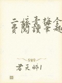 二嫁青梅全文免费阅读笔趣阁封面