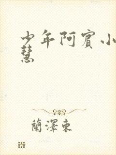 少年阿宾小说钰慧