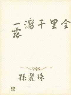 一泻千里金银花露封面