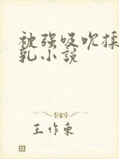 被强吸吮揉捏双乳小说