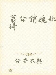 翁公销魂姚瑶琦琦封面