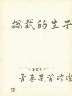 总裁的生子情人