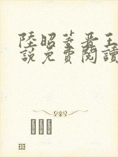 陆昭菱晋王的小说免费阅读