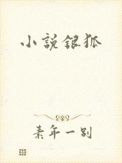 小说银狐
