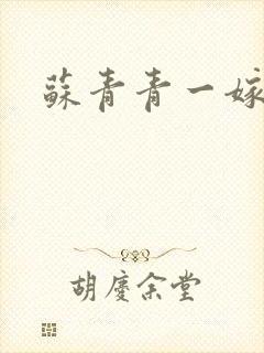 苏青青一嫁三夫