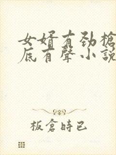 女婿有劲枪枪到底有声小说