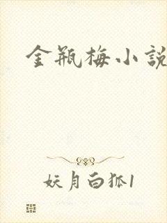 金瓶梅小说下载