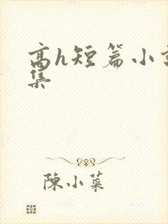 高h短篇小说合集