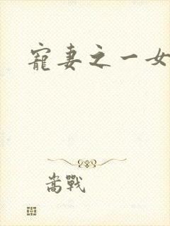 宠妻之一女二夫